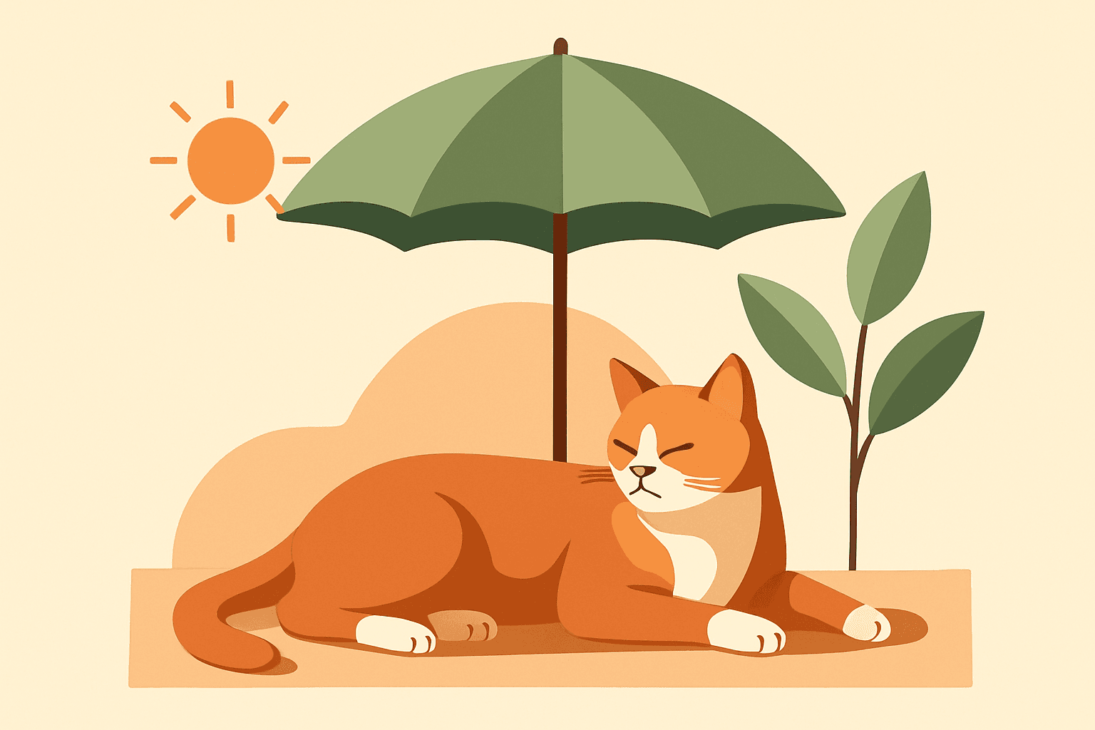 Houd je kat koel tijdens warme dagen: praktische tips voor baasjes